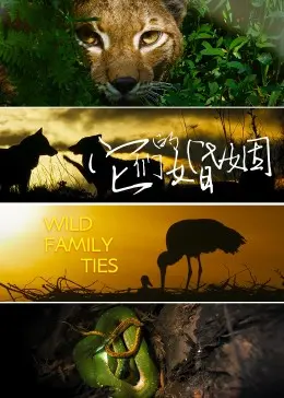 《它们的婚姻》：当“原子少年”遇上婚姻的“现实主义”，一场关于“爱与妥协”的残酷童话！