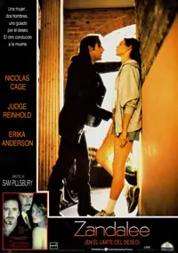 《色欲野玫瑰》：绽放在禁忌边缘的危险诱惑与心碎绝恋