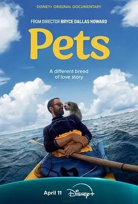 《宠 Pets》：不止是毛茸茸的治愈，更是现代人情感困境的深度剖析！