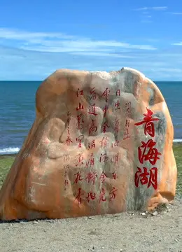 《丝绸之路青海道》：不只纪录片，这是“龙叔”带你穿越时空的史诗级冒险！